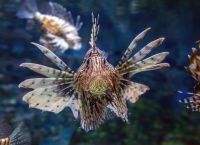 «Αλμυρή κηλίδα» στα βάθη των ωκεανών: Πώς η υπερθέρμανση αποκαλύπτει αρχαία μυστικά για το CO₂ και το κλίμα