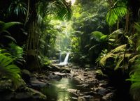 Το μυστικό συστατικό που διπλασιάζει την ταχύτητα αναγέννησης των τροπικών δασών: Το άζωτο στο έδαφος!