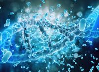 Η πρωτεΐνη Shugoshin 1 «αναζωογονεί» τα ωάρια μετά τα 40