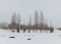 «Είδαν άσπρη μέρα» σε πολλές περιοχές της Ελλάδας – Εντυπωσιακές χιονισμένες εικόνες από Αράχωβα και όχι μόνο