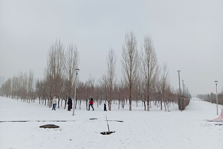 «Είδαν άσπρη μέρα» σε πολλές περιοχές της Ελλάδας – Εντυπωσιακές χιονισμένες εικόνες από Αράχωβα και όχι μόνο