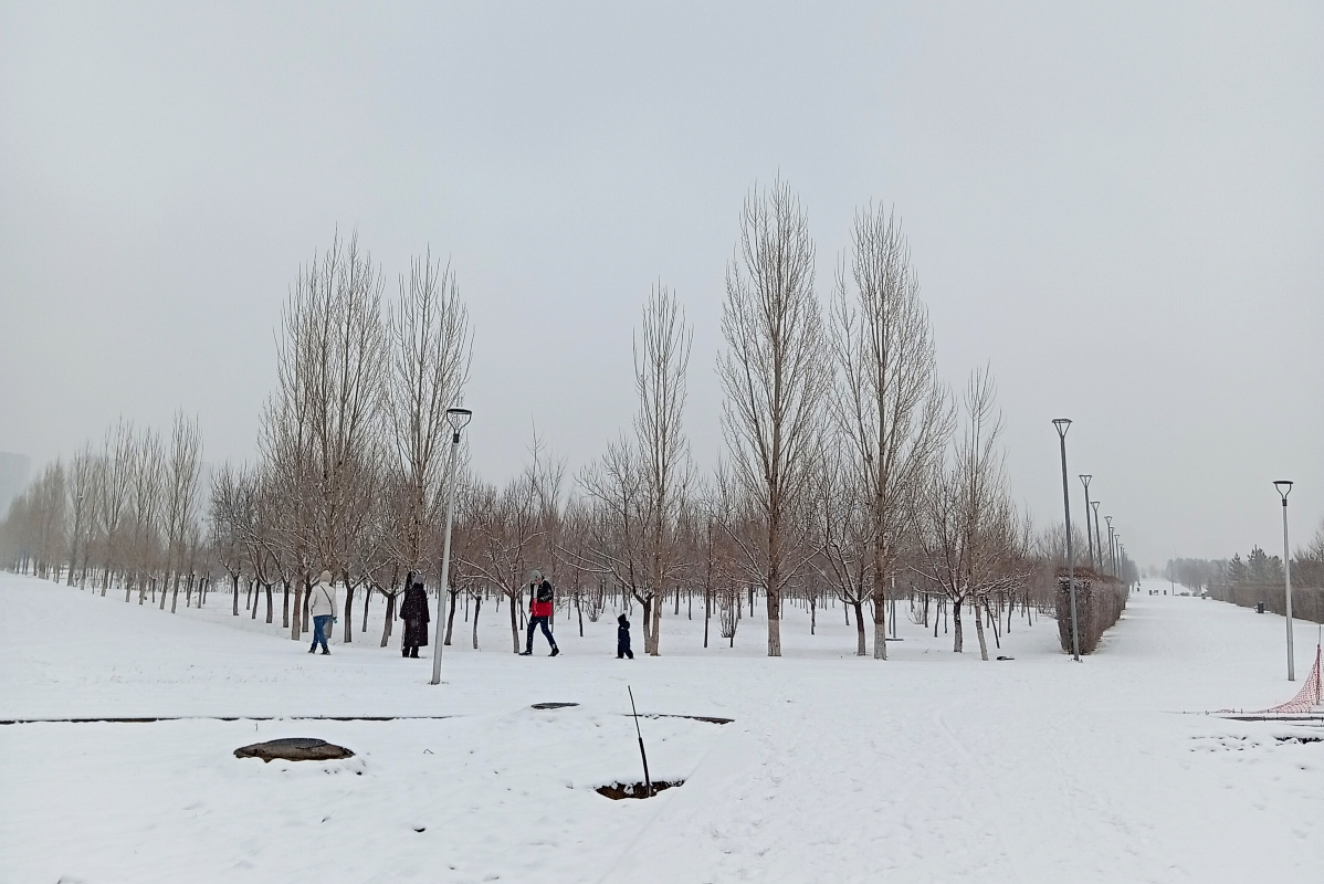 «Είδαν άσπρη μέρα» σε πολλές περιοχές της Ελλάδας – Εντυπωσιακές χιονισμένες εικόνες από Αράχωβα και όχι μόνο