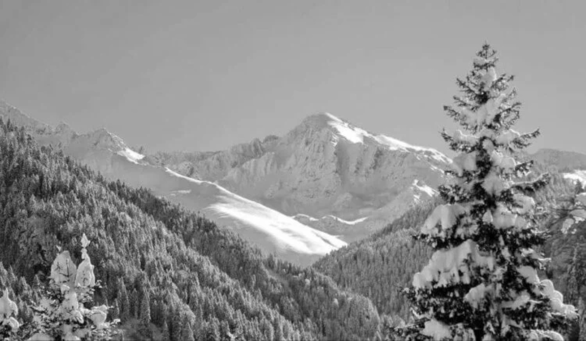 Πωλείται χιόνι…Από το Καρλούκ την υψηλότερη κορυφή Ποντικών Άλπεων στα παζάρια του Πόντου