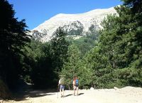 Ταΰγετος: Εντοπίστηκαν οι οκτώ εγκλωβισμένοι ορειβάτες – Δραματική διάσωση με φορεία μέσα στη νύχτα