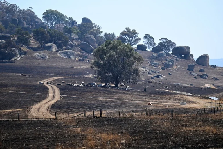 Μεγάλες φωτιές σαρώνουν την Αυστραλία: Ένας νεκρός, πάνω από 300 σπίτια καταστράφηκαν