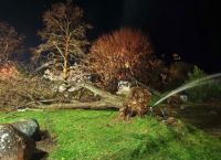 Αλεξανδρούπολη–εικόνες «αποκάλυψης»: Δέντρα ξεριζώθηκαν,δίκυκλα αναποδογύρισαν,άνεμοι ξεπέρασαν 154χλμ