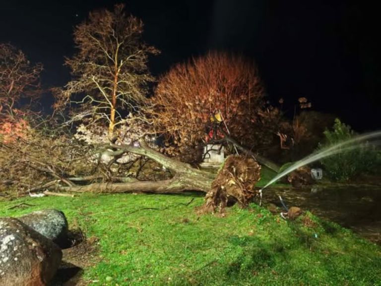 Αλεξανδρούπολη–εικόνες «αποκάλυψης»: Δέντρα ξεριζώθηκαν,δίκυκλα αναποδογύρισαν,άνεμοι ξεπέρασαν 154χλμ