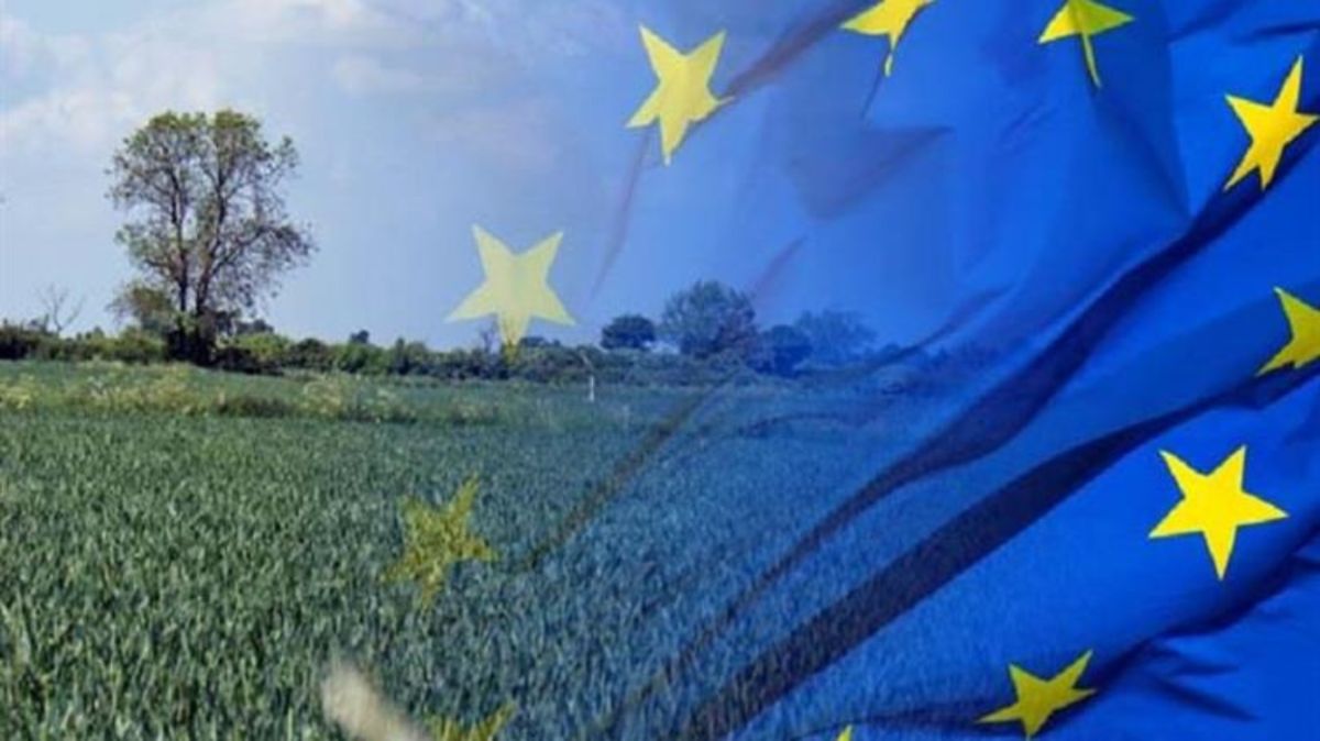Μισό δισεκατομμύριο ή… 45 δισ.; Η Ελλάδα στο μικροσκόπιο της ΚΑΠ και της ΕΕ