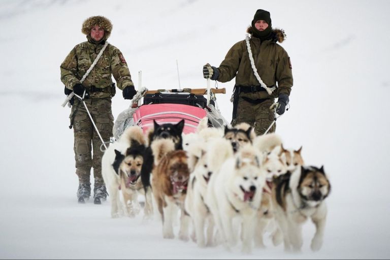 Γροιλανδία: Η επίλεκτη Sirius Dog Sled Patrol που περιπολεί στους -55°C