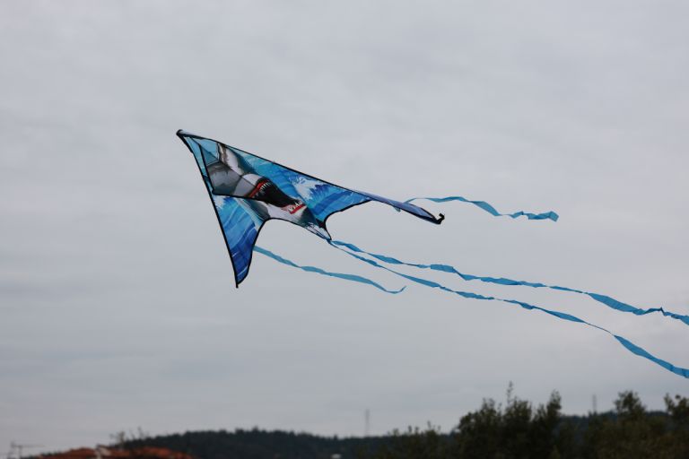 Χαρταετός και καλώδια ρεύματος: Ο ΔΕΔΔΗΕ προειδοποιεί για ηλεκτροπληξία και μπλακ άουτ