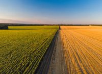 Αγρότες: Πώς να διατηρήσουν την ασφαλιστική ικανότητα από 1η Μαρτίου 2026 έως 28 Φεβρουαρίου 2027