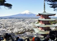 Ιαπωνία λέει «φτάνει»: Ακυρώνεται το φεστιβάλ Σακούρα στο «κάδρο» του Φούτζι λόγω υπερτουρισμού