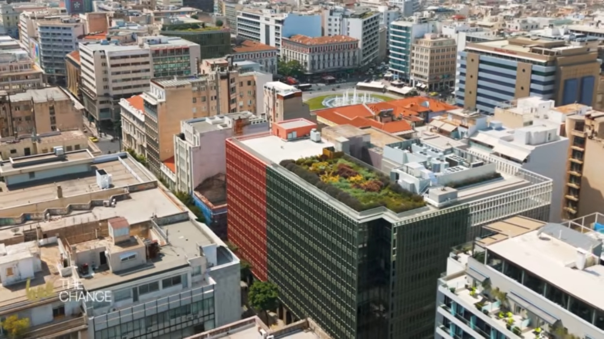 Μέλισσες στην ταράτσα του ΜΙΝΙΟΝ