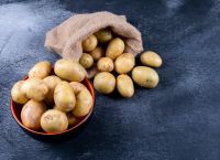 Πατάτα σε ελεύθερη πτώση: Εισαγωγές, αδιάθετα φορτία και τιμές κάτω από το κόστος