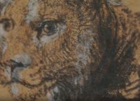 Ρέμπραντ: Το «Νεαρό Λιοντάρι» έσπασε ρεκόρ και έφτασε τα 17,9 εκατ. δολάρια στη Sotheby’s