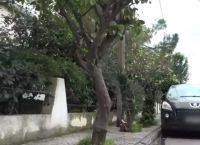 Ελευσίνα: «Υπήρχε ένα δέντρο με ένα εξόγκωμα που προκάλεσε στην πεθερά μου ακατάσχετη αιμορραγία»