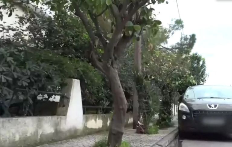 Ελευσίνα: «Υπήρχε ένα δέντρο με ένα εξόγκωμα που προκάλεσε στην πεθερά μου ακατάσχετη αιμορραγία»