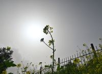 Καιρός σήμερα [26/2]: Συνεχίζονται οι ανοιξιάτικες ημέρες – Που θα βρέξει