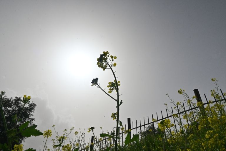 Καιρός σήμερα [26/2]: Συνεχίζονται οι ανοιξιάτικες ημέρες – Που θα βρέξει