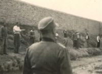 Οι «200 της Καισαριανής» σε διεθνές πρώτο πλάνο: Οι σπάνιες φωτογραφίες που «ξύπνησαν» τη μνήμη