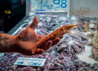 Καθαρά Δευτέρα: Στα 22 ευρώ τα καλαμαράκια, πάνω από 3,30 η λαγάνα – Οι ώρες λειτουργίας για Βαρβάκειο Ρέντη