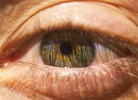 Η Όραση που Κρύβεται: Τι Πραγματικά Βλέπουμε – και Τι Δεν Αντιλαμβανόμαστε Συνειδητά