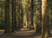 Πορτογαλία: Πρόστιμο 10 εκατ. ευρώ για την αποτυχία προστασίας της βιοποικιλότητας