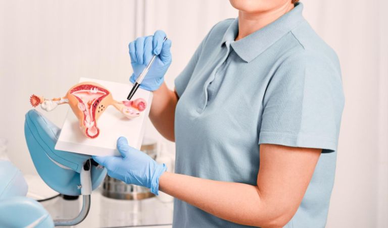 Για πρώτη φορά χαρτογραφήθηκε πλήρως το νευρικό δίκτυο της κλειτορίδας – Τι αποκαλύπτει η νέα μελέτη