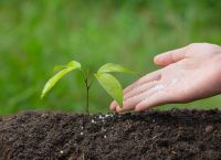 Παγκόσμια γεωργία σε συναγερμό: Στα ύψη οι τιμές λιπασμάτων λόγω Μ. Ανατολής