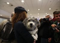 Επαναπατρίστηκαν άλλοι 101 Έλληνες με τα 47 κατοικίδια τους, με ειδική πτήση από τη Μέση Ανατολή