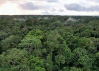 Κρυφή «βόμβα» άνθρακα στη λεκάνη του Κονγκό: Αρχαίος άνθρακας χιλιάδων ετών διαρρέει από λίμνες