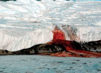 Blood Falls: Το μυστήριο του κόκκινου πάγου στην Ανταρκτική λύνεται