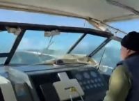 Τιμή στον καπετάνιο που έσωσε 3χρονο από τη Σκιάθο: «Μικρή είναι η ζωή και πρέπει να βοηθάμε»