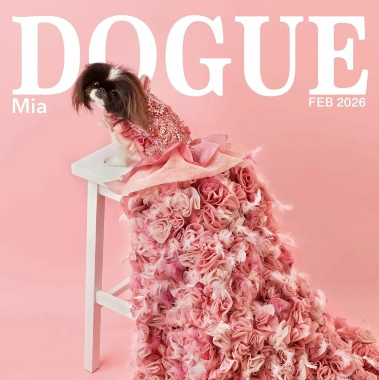 Vogue εναντίον Dogue: Η αγωγή που έκανε ένα περιοδικό για σκύλους παγκόσμιο θέμα