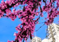 Αρναούτογλου: Πότε αλλάζει ο καιρός – Έρχονται βροχές και πτώση θερμοκρασίας