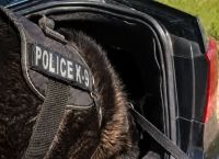 Θεσσαλονίκη: Αστυνομικός σκύλος εντόπισε πάνω από 1 κιλό κοκαΐνης σε ΙΧ [vid]