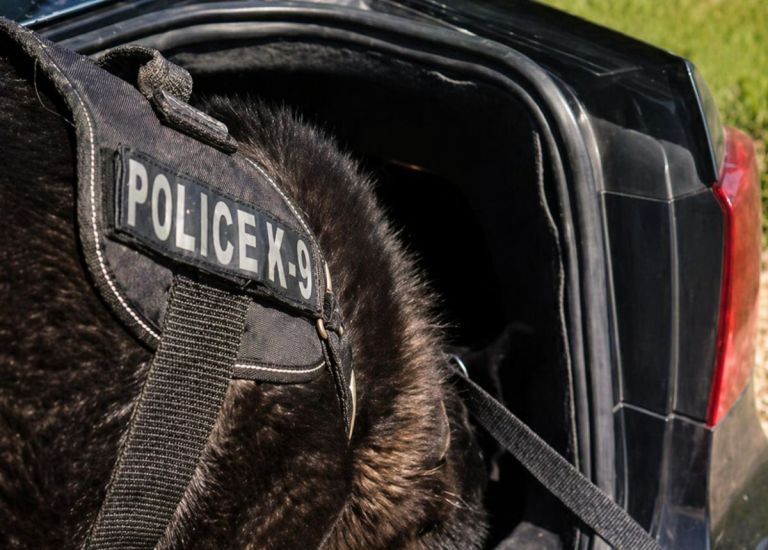 Θεσσαλονίκη: Αστυνομικός σκύλος εντόπισε πάνω από 1 κιλό κοκαΐνης σε ΙΧ [vid]