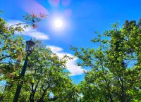 Καιρός: Ζέστη έως την Πέμπτη, βροχές και κρύο την Πρωτομαγιά