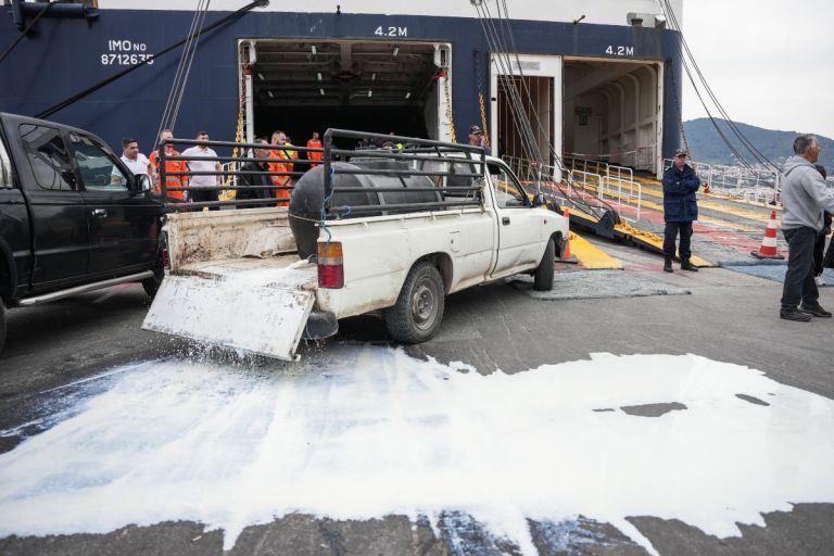 Μυτιλήνη: Νέα κινητοποίηση αγροτών και κτηνοτρόφων για τις αποζημιώσεις