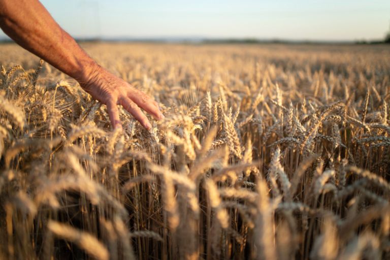 ΑΑΔΕ: Πληρώθηκε η πρώτη δόση επιστροφής ΕΦΚ αγροτικού πετρελαίου – 20,7 εκατ. σε 88.069 δικαιούχους