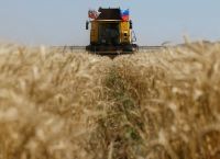 Ρήγμα Ουκρανίας – Ισραήλ: Καταγγελίες για «κλεμμένα» σιτηρά και απειλές κυρώσεων