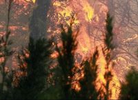 Φωτιές σε Λάρισα και Κιλκίς: Μάχη της Πυροσβεστικής σε δύο μεγάλα μέτωπα