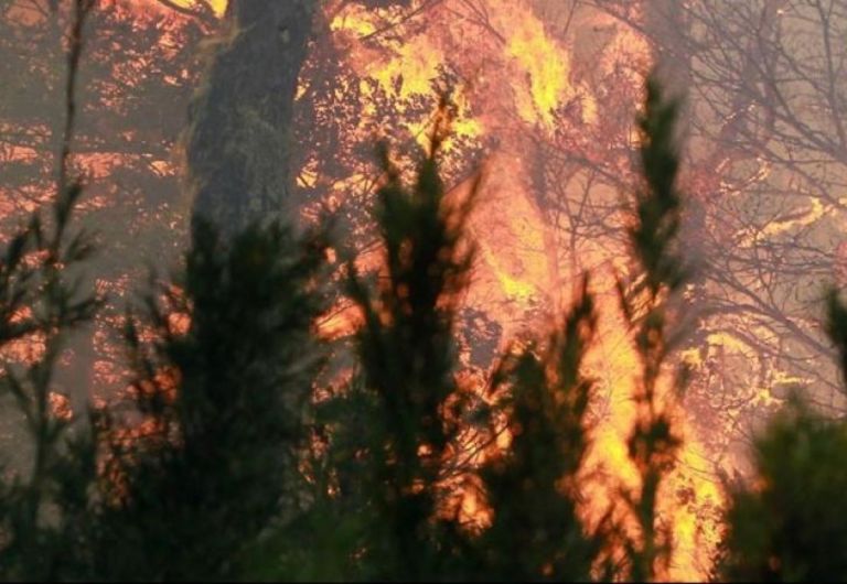 Φωτιές σε Λάρισα και Κιλκίς: Μάχη της Πυροσβεστικής σε δύο μεγάλα μέτωπα