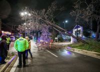 “Σαρώνει” η κακοκαιρία “Erminio”: Πτώσεις δέντρων σε διάφορες περιοχές της Αττικής