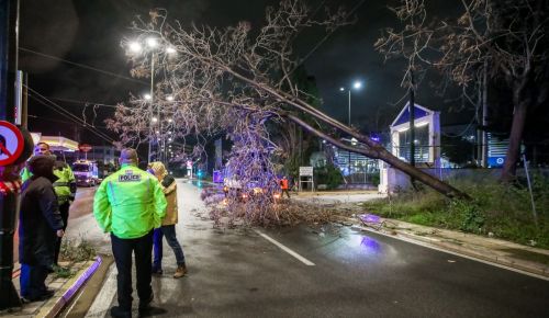 “Σαρώνει” η κακοκαιρία “Erminio”: Πτώσεις δέντρων σε διάφορες περιοχές της Αττικής