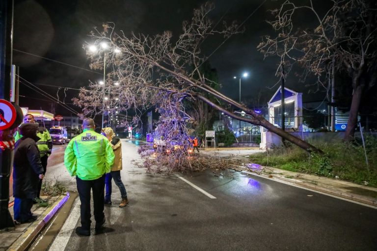“Σαρώνει” η κακοκαιρία “Erminio”: Πτώσεις δέντρων σε διάφορες περιοχές της Αττικής