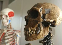 Μελέτη-σταθμός: Η εξέλιξη του ανθρώπου επιταχύνθηκε τα τελευταία 10.000 χρόνια