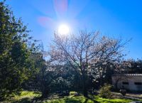 Καιρός σήμερα [5/5/26]: Ανεβαίνει η θερμοκρασία – Έως 26°C ο υδράργυρος τις επόμενες ημέρες