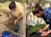 Αγρότης στην Ισπανία «ανέστησε» ντομάτα του 1916 – Η αυθεντική γεύση απέναντι στη βιομηχανική γεωργία
