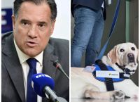 Ο Γεωργιάδης ανοίγει το ΕΣΥ στα… σκυλιά θεραπείας –“Δεν μπορείτε να φανταστείτε τα αποτελέσματα” [vid,pics]